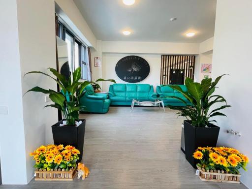 Dandelion Manor - Housity
