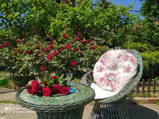 KosMaj Dan Belgrade, Sopot - Housity