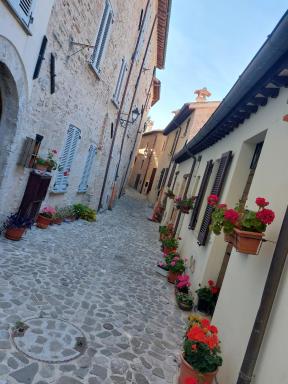 Casa Coccinella - Housity