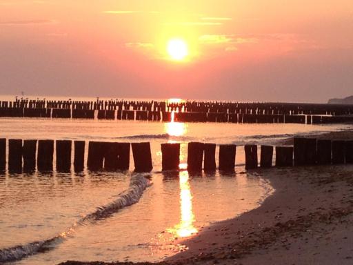 Apartment Strandkate Wohnung Strandhafer - Housity