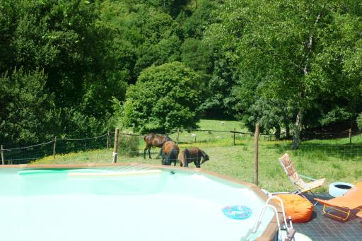 AgroFarm with Animals - Qta Entre Sebes - Housity