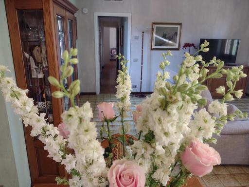 Casa Gabri - Housity