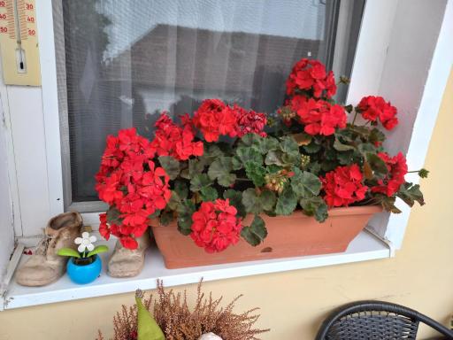 Oázis Apartman - Housity