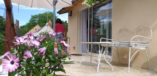 Le pin bleu - Housity