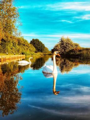 Swan Path Retreat - 2 Bedroom Apartment - Housity