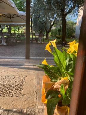 Rustico di Benellini Angela - Housity