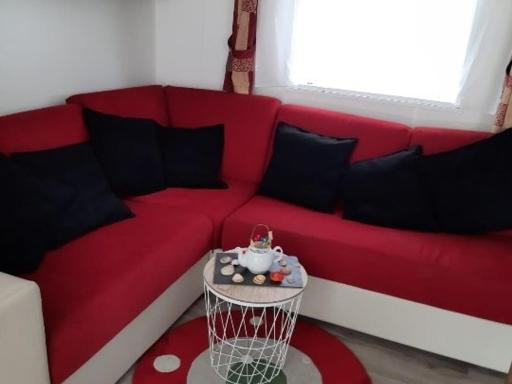 Mobil'home à Dolus-d'Oléron (17) avec terrasse, cuisine d'été et proche plages - 4 couchages - FR-1-246A-120 - Housity