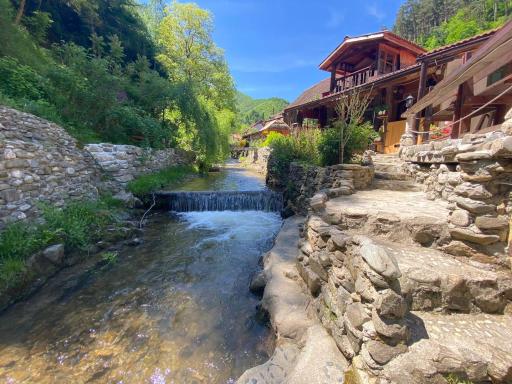 Pensiunea Mioritica - Housity