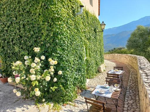 L'armonica di nonnoSandro - Housity