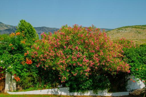 Holiday House LEON - Housity