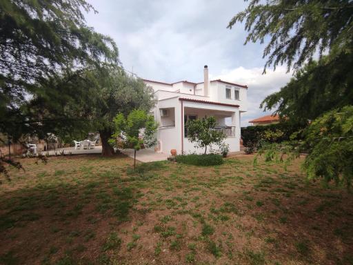 Rural Modern House - Housity