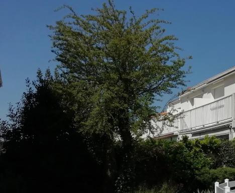 Appartement lumineux et terrasse vue mer et jardin - Housity