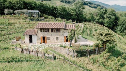 Agriturismo Il Conte Vassallo - Housity