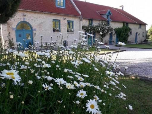 Grande ferme rénovée avec équipements familiaux, proche de Bergues et Dunkerque - FR-1-510-169 - Housity
