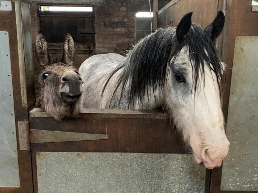 Holywell Grange Farm - Housity