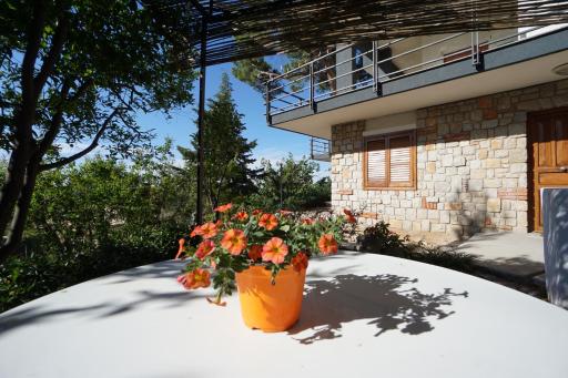 Nut House apartment near the sea in a villa with garden - Housity