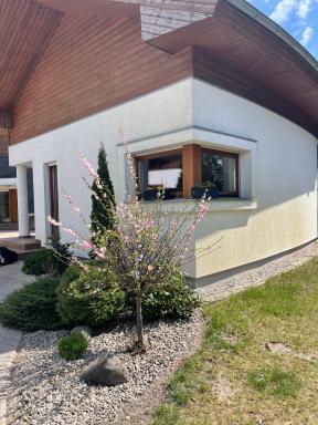 Apartament przy lesie - Housity