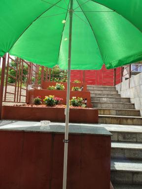 Garsoniera Alex - Housity