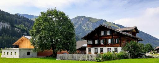 Bühlerhof - Housity
