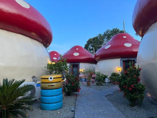 MUSHROOMS INN - Housity