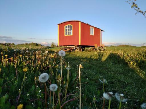 Gula Vagnen - Housity