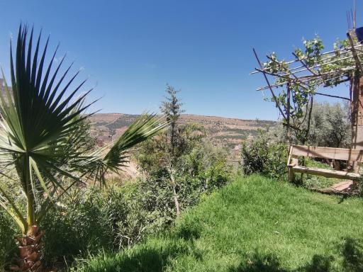 dar talaint - Housity