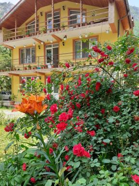 Casa Mihaela - Housity