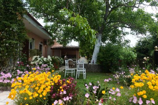 Mina's serene garden house - Housity