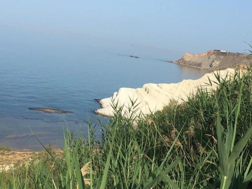 Villa Maria Sofia - Housity