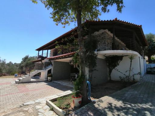 STONE HOUSE POLITIKA - Housity