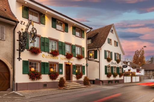 Hotel Adler - Weil am Rhein - Housity