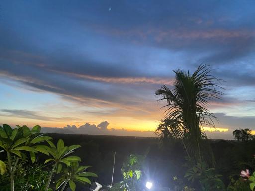 Tropical hideaway on Mango farm overlooking Sierra mountains - Housity
