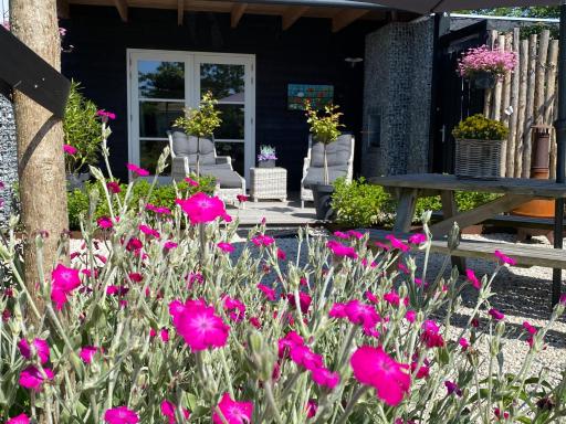 Wellness huisje aan zee - Housity