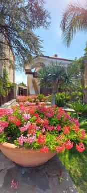 STELLA MARIS D - Housity