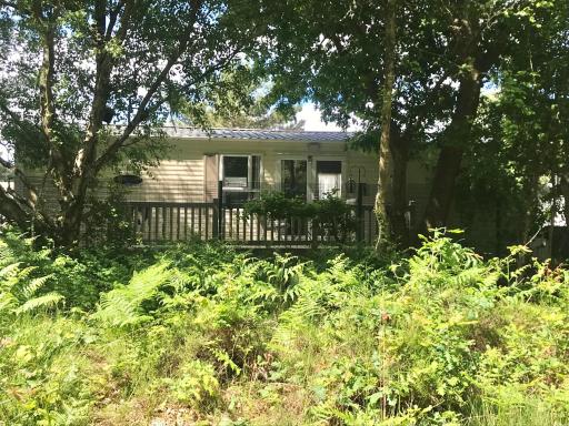 Forest View at Oakdene Forest Park - Leisure Passes Included! - Housity