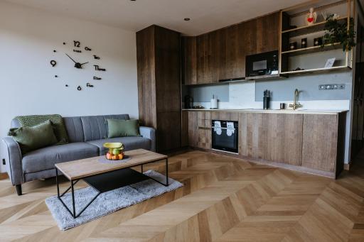 Minimalist Design Penthouse - Kosice Old Town - Housity