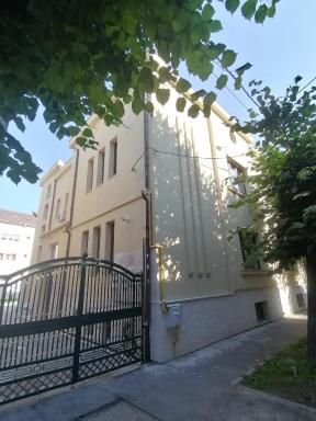 NOVA lake apartamente wild jungle - Housity
