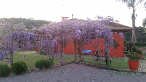 Canto das saracuras - Housity