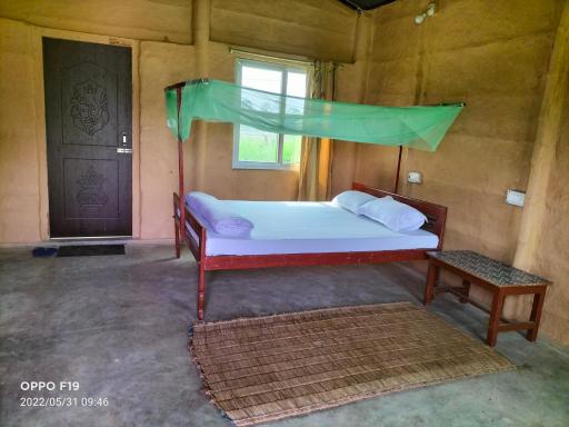 Wild Route Eco Homestay - Housity