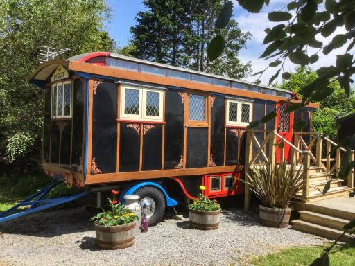 Dolly the Circus Wagon - Housity