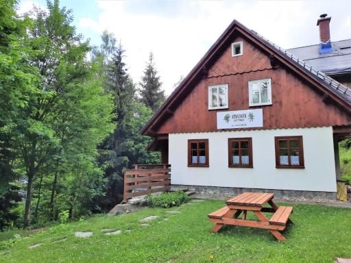 Apartmán mezi stromy - Housity