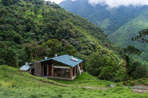 Neblina Bird - Housity
