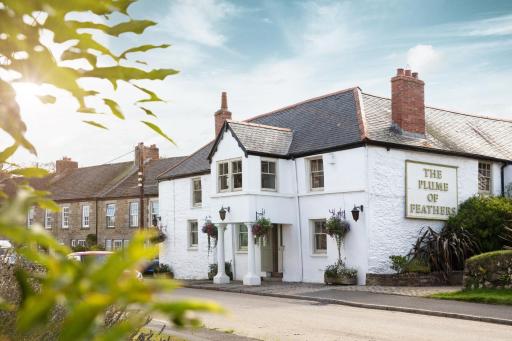 The Plume of Feathers - Housity
