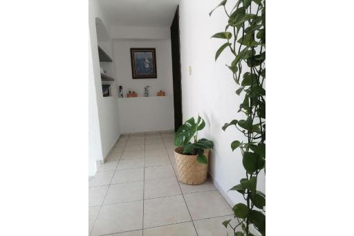 Estudio en el corazon de Colima - Housity