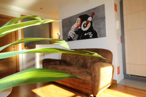 Monkeys House. - Housity