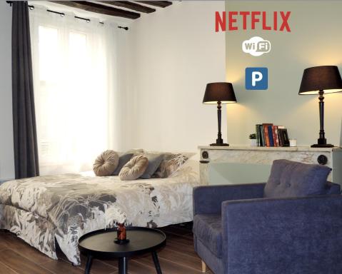 Studio tout confort à 2 pas du Château st Germain - Hizvo