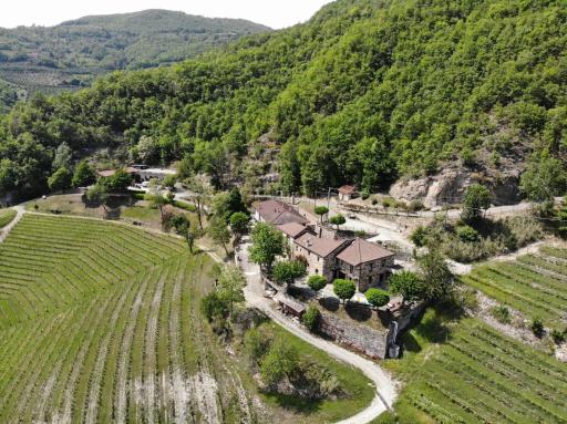 Cascina Bertolotto Wine Resort - Housity