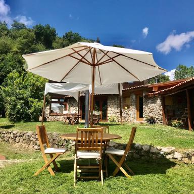 Quinta dos Carvalhos The Wine House Farm in Center of Lamego - Capital of the Douro - Housity