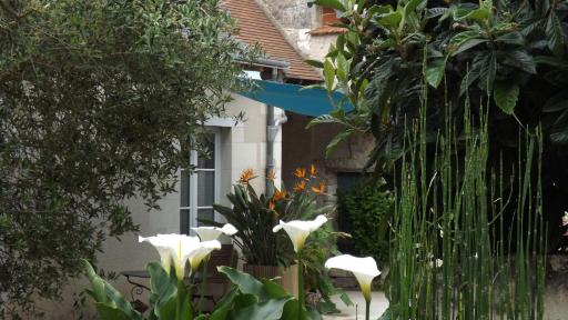 Suite Luzilloise - Housity