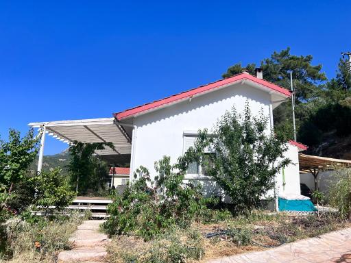Detached house surrounded by fruit trees, very close to Olympos and Çıralı - Housity